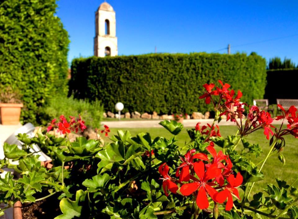 Hotel D'Altavilla Canosa di Puglia Exterior foto